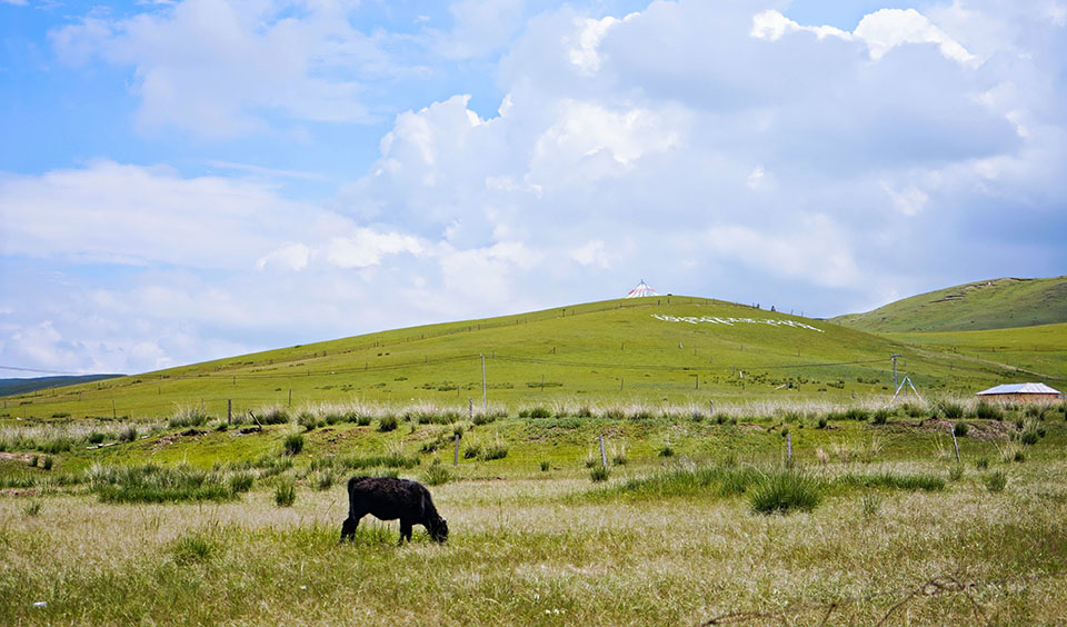 Intelligent Qinghai