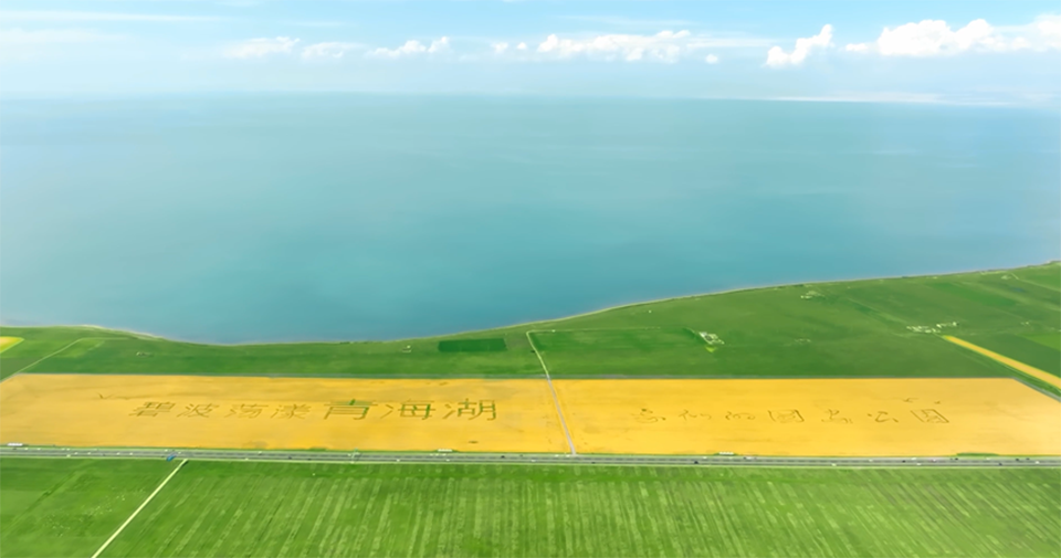 Intelligent Qinghai