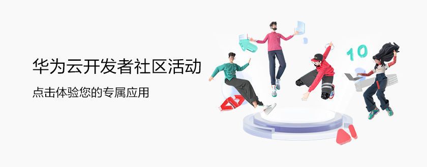 developer