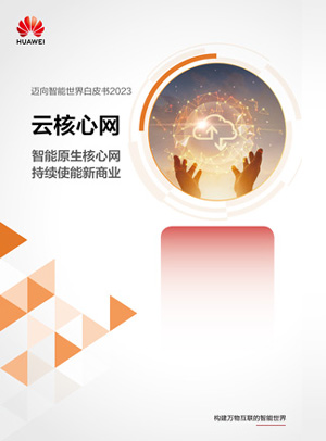 Cloud Core Network